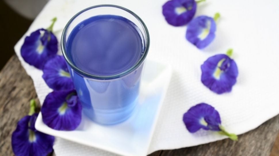 7 Manfaat Teh Bunga Telang , Salah Satu Minuman yang Penuh Khasiat