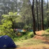 14.510 Orang Camping di Taman Nasional Gunung Gede Pangrango