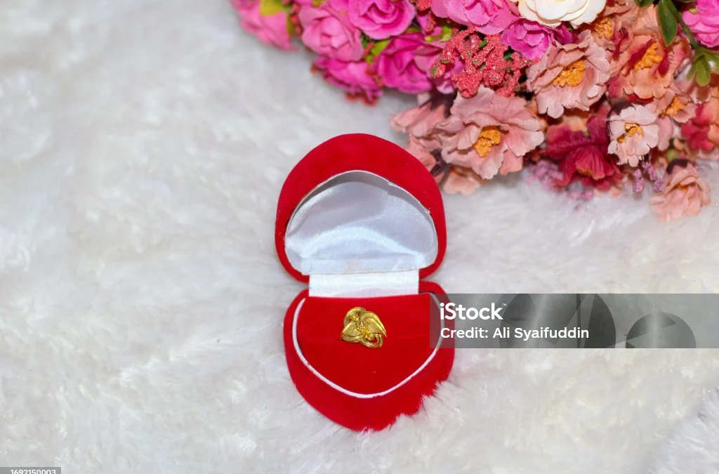 Pernikahan sesama jenis di Cianjur (Ilustrasi)