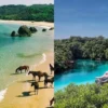 10 Rekomendasi Tempat Wisata di Sumba, Menjadi Pilihan yang Tepat Buat Liburan