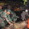 100 Personel TNI Dikerahkan Bantu Evakuasi Pohon Tumbang