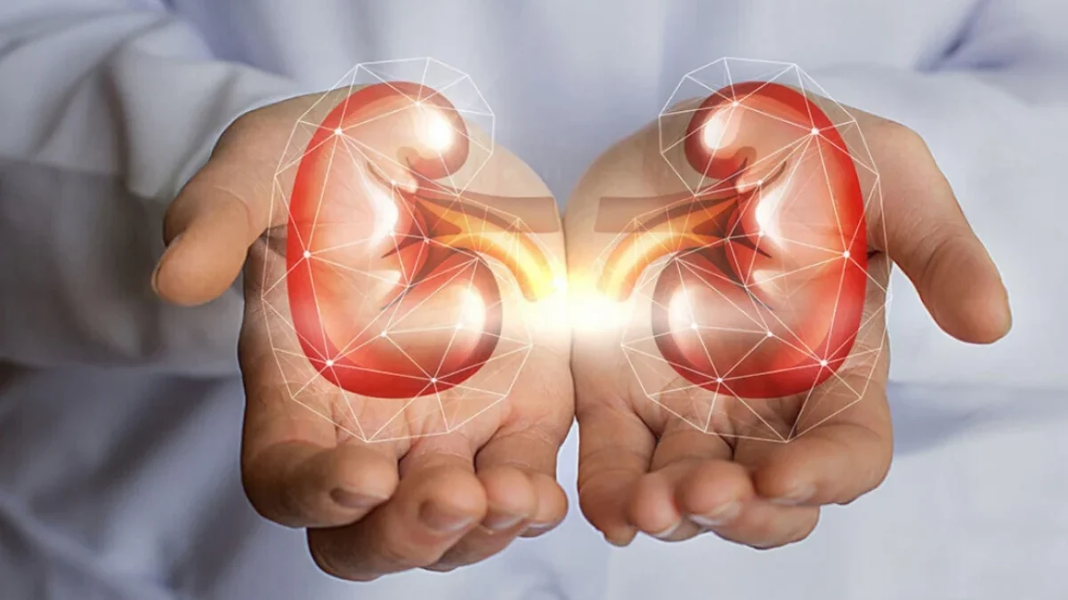 10 Cara Merawat Organ Ginjal Agar Tetap Berfungsi 