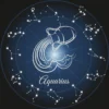 Fakta Menarik Zodiak Aquarius.jpg