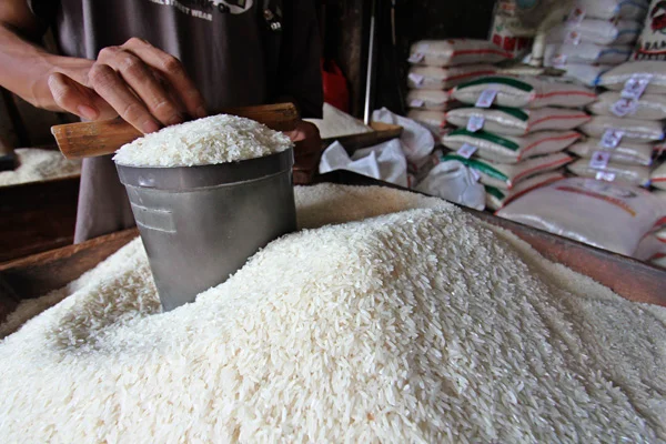 Satgas Pangan ungkap kelangkaan beras di ritel modern.