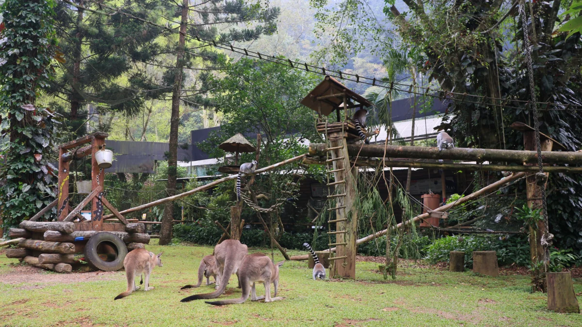 10 Destinasi Wisata Edukasi di Bogor Cocok Untuk Liburan Sambil Belajar