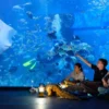 Ini Dia 7 Wisata Edukasi di Jakarta, Ada Museum Hingga Aquarium(foto:Tokopedia)