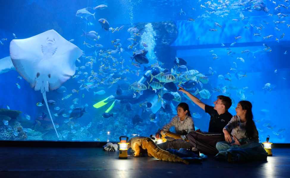 Ini Dia 7 Wisata Edukasi di Jakarta, Ada Museum Hingga Aquarium(foto:Tokopedia)