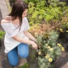 Ingin Memiliki Taman Indah di Rumah Tanpa Perlu Ahli Berkebun? Kami Punya Solusinya