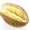 Menjelajahi Beragam Jenis Durian di Nusantara: Dari Montong hingga Musang King