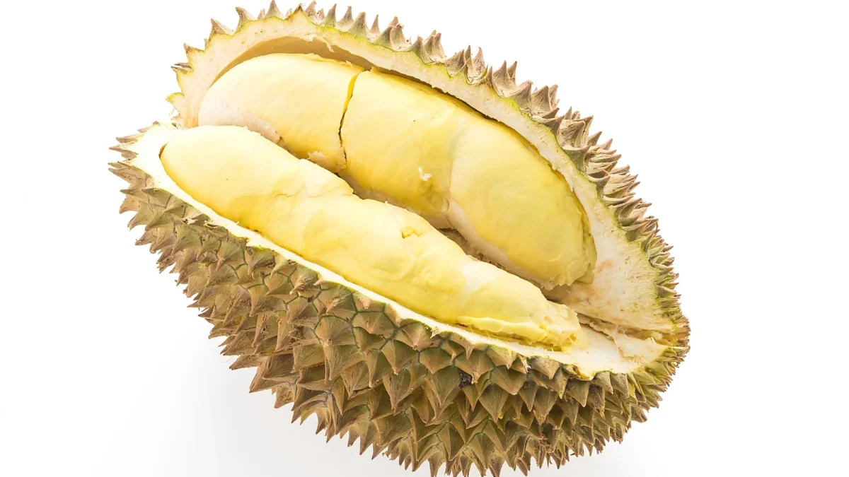 Menjelajahi Beragam Jenis Durian di Nusantara: Dari Montong hingga Musang King